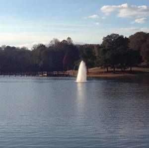 Meet your Posher, Symone